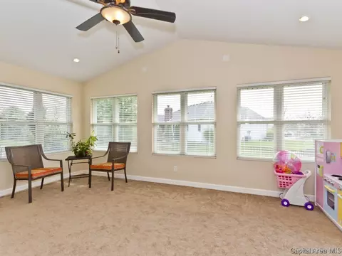 7209 Wentworth, Springfield, IL 62711 photo 29