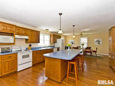 3870 Wagon Trl, Springfield, IL 62712 photo 6
