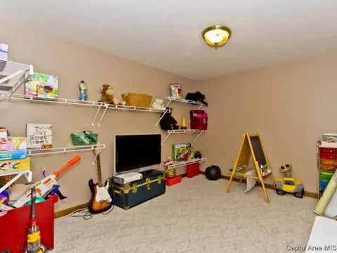 3870 Wagon Trl, Springfield, IL 62712 photo 22