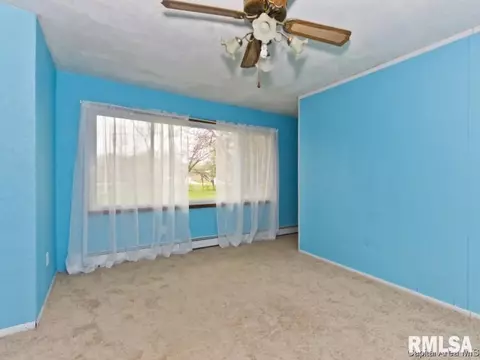 516 Jackson Street St, Riverton, IL 62561 photo 11