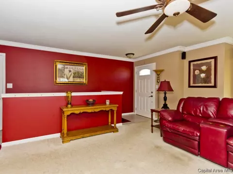 4101 Marie, Springfield, IL 62707 photo 22