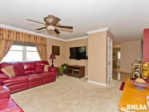 4101 Marie, Springfield, IL 62707 photo 7