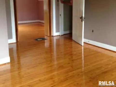 295 E Tanner, Waverly, IL 62692 photo 17