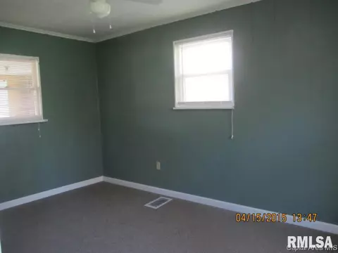 295 E Tanner, Waverly, IL 62692 photo 10