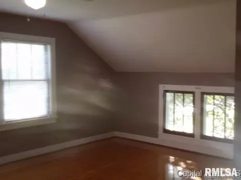 295 E Tanner, Waverly, IL 62692 photo 14