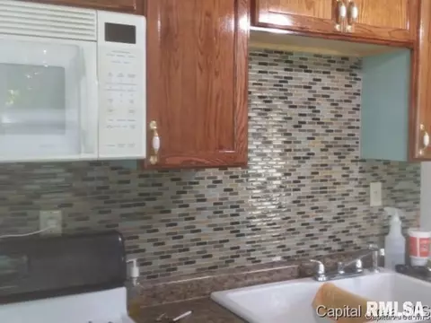 295 E Tanner, Waverly, IL 62692 photo 12