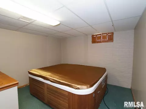 160 Redwing Ct, Chatham, IL 62629 photo 17