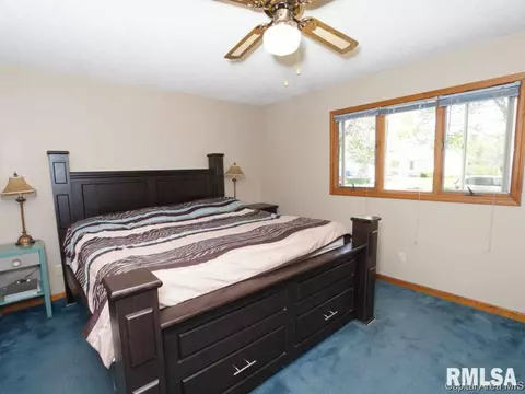 160 Redwing Ct, Chatham, IL 62629 photo 8