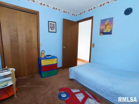 160 Redwing Ct, Chatham, IL 62629 photo 2