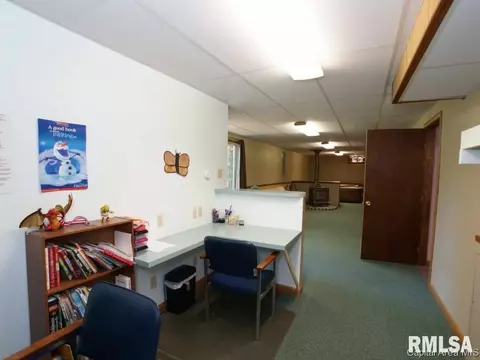 160 Redwing Ct, Chatham, IL 62629 photo 20