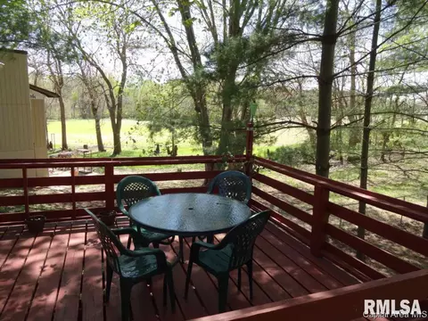 160 Redwing Ct, Chatham, IL 62629 photo 27