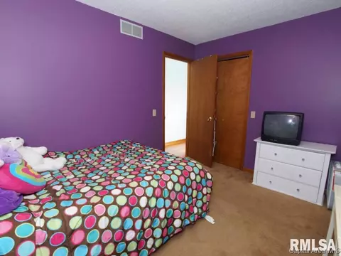 160 Redwing Ct, Chatham, IL 62629 photo 15
