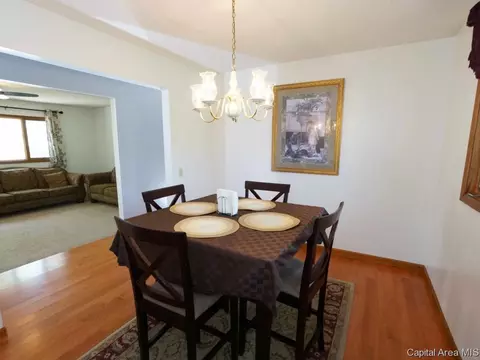 160 Redwing Ct, Chatham, IL 62629 photo 26