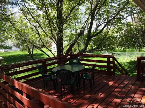 160 Redwing Ct, Chatham, IL 62629 photo 30