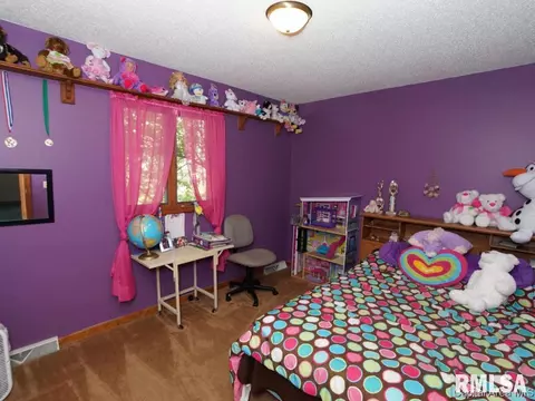 160 Redwing Ct, Chatham, IL 62629 photo 14