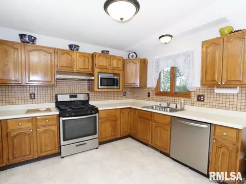 160 Redwing Ct, Chatham, IL 62629 photo 11