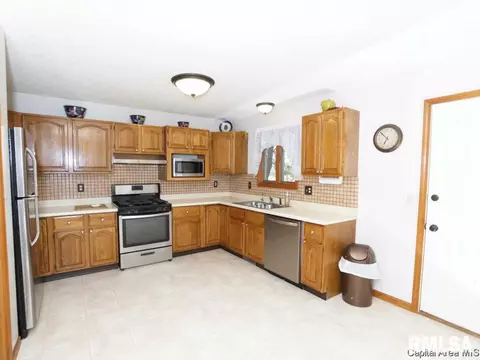 160 Redwing Ct, Chatham, IL 62629 photo 10