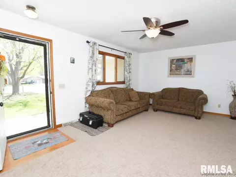 160 Redwing Ct, Chatham, IL 62629 photo 25