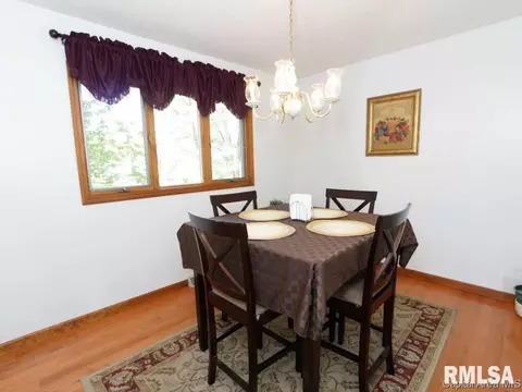 160 Redwing Ct, Chatham, IL 62629 photo 6