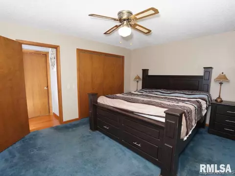 160 Redwing Ct, Chatham, IL 62629 photo 13