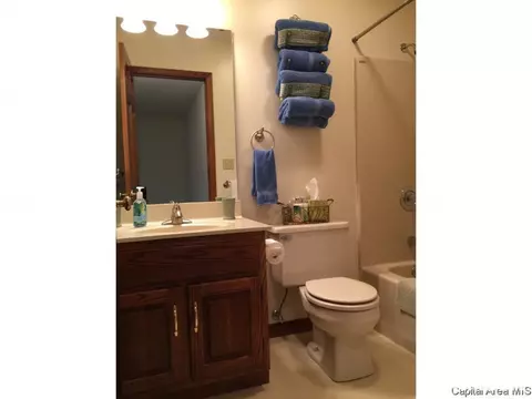 2305 Silver Mill Ct, Springfield, IL 62704 photo 19