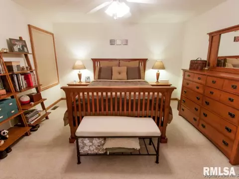 1711 Plover Rd, Springfield, IL 62711 photo 10