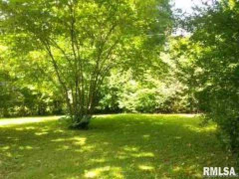 21 Stelte Ln, Springfield, IL 62702 photo 14