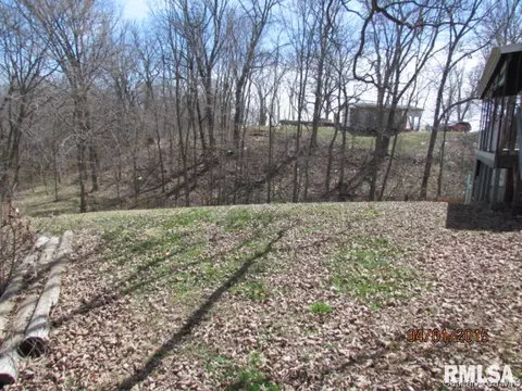 298 E Myrtle St, Hettick, IL 62649 photo 28