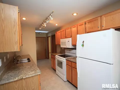 3010 Turning Mill Dr, Springfield, IL 62704 photo 9
