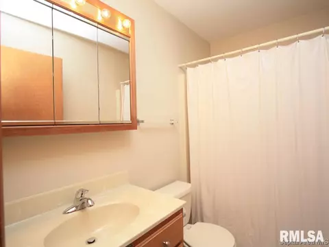 3010 Turning Mill Dr, Springfield, IL 62704 photo 14