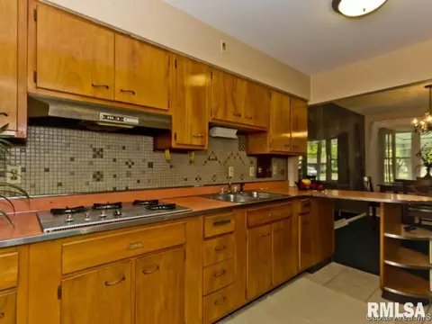 28 Monica Ct, Springfield, IL 62702 photo 5