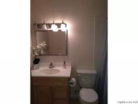 92 Danbury Dr, Springfield, IL 62704 photo 21