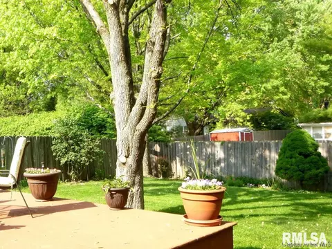 3312 Forsyth Dr, Springfield, IL 62704 photo 19