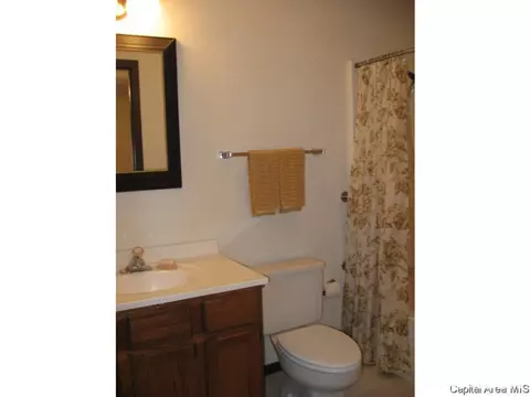 9 Brookside Pl, Springfield, IL 62704 photo 14
