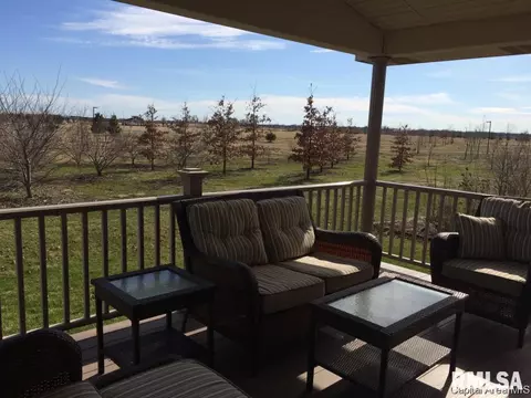 120 E Sherry Dr, Springfield, IL 62703 photo 19