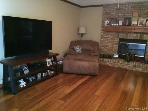 120 E Sherry Dr, Springfield, IL 62703 photo 4