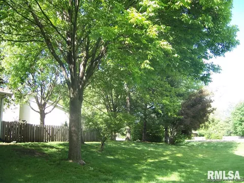 2010 Clara Mae, Springfield, IL 62711 photo 17