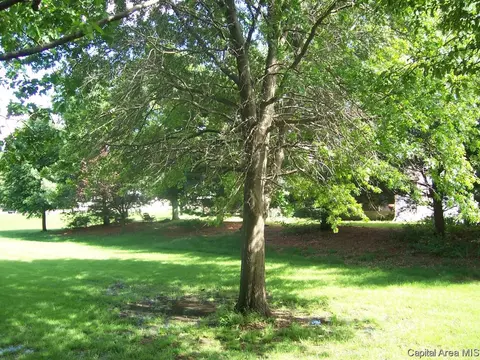 2010 Clara Mae, Springfield, IL 62711 photo 18