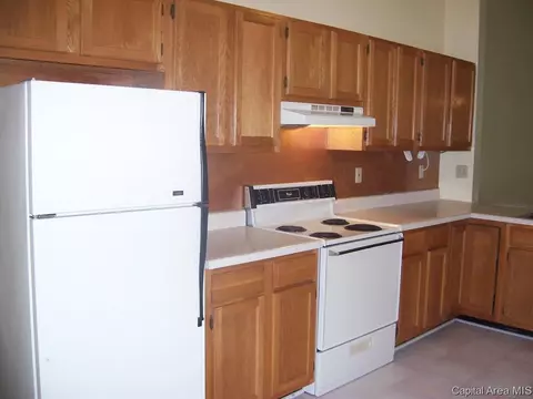 2010 Clara Mae, Springfield, IL 62711 photo 8