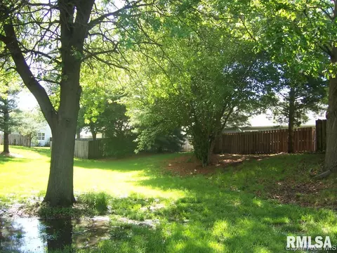 2010 Clara Mae, Springfield, IL 62711 photo 15