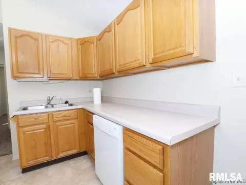 2263 Ramsey Rd, Springfield, IL 62702 photo 12