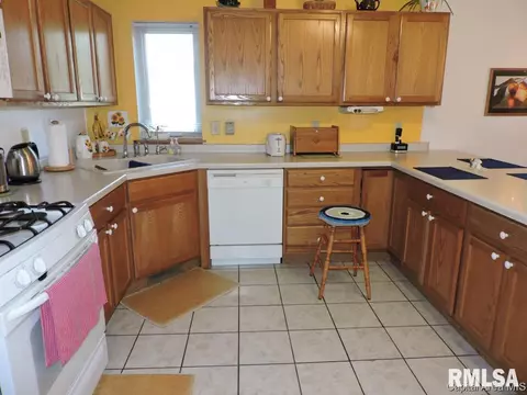 302 E Buttercup Dr, Athens, IL 62613 photo 8