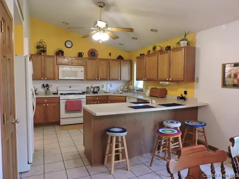 302 E Buttercup Dr, Athens, IL 62613 photo 7
