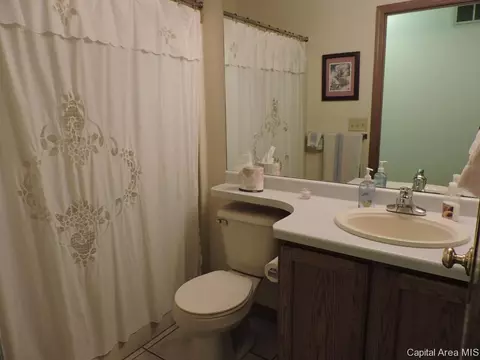 302 E Buttercup Dr, Athens, IL 62613 photo 12