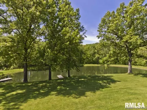3091 Green Haven Dr, Springfield, IL 62707 photo 34