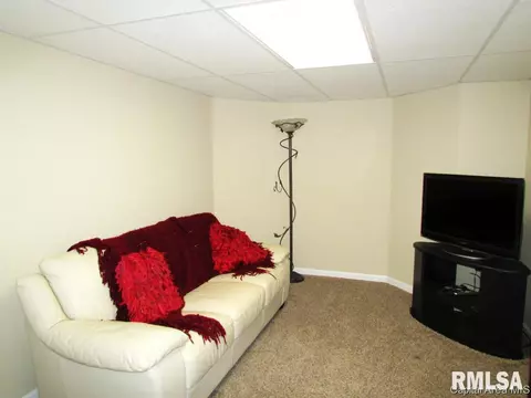 5413 Bunting, Springfield, IL 62711 photo 18