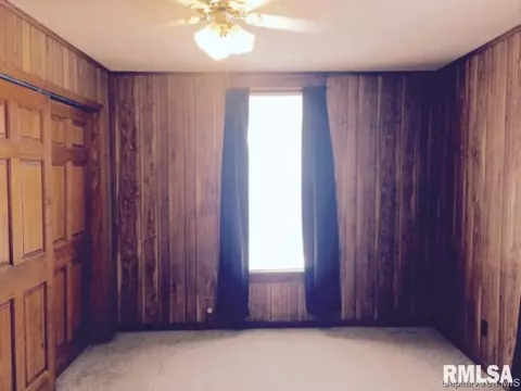 1421 Pennsylvania Ave, Springfield, IL 62702 photo 11