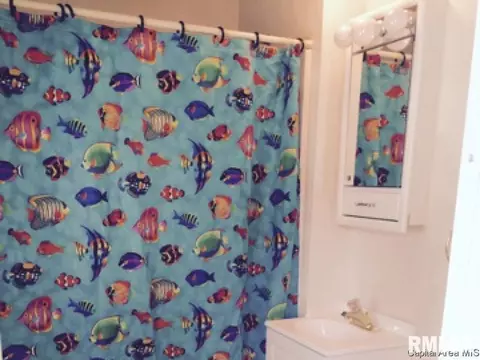 1421 Pennsylvania Ave, Springfield, IL 62702 photo 12