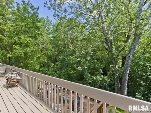 8 Settlers Ln, Springfield, IL 62707 photo 33