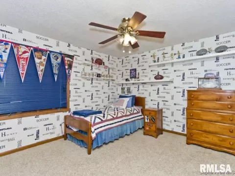 8 Settlers Ln, Springfield, IL 62707 photo 17